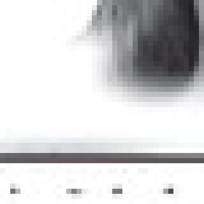 Alt Text for Image