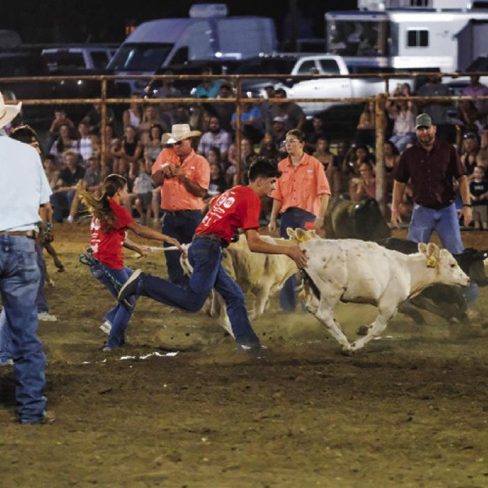 Local students got a chance to catch a calf for $1,200 to go toward an FFA or 4-H project during the first annual Fayette County Calf Scramble. The event took place Friday and Saturday night during the Schulenburg Festival Rodeo.