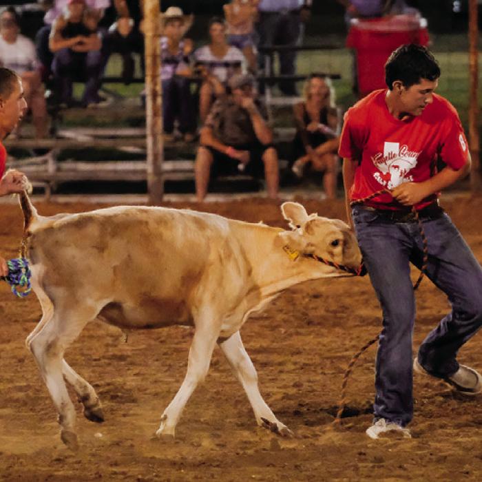 Rylan Surman, left, came out empty handed in the calf scramble, but he won the Hard Luck Award after helping a fellow competitor bring in the last calf on Friday night. Photo by Andy Behlen