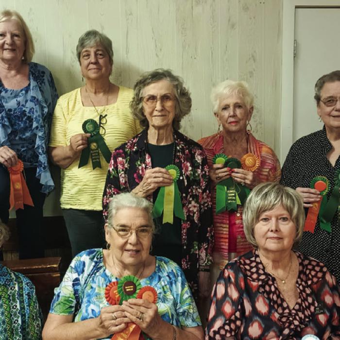 Schulenburg Garden Club Holds Flower Show