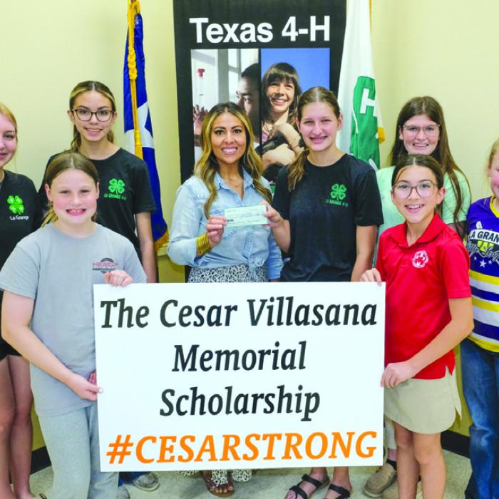LG 4-H Donates to Villasana Scholarship