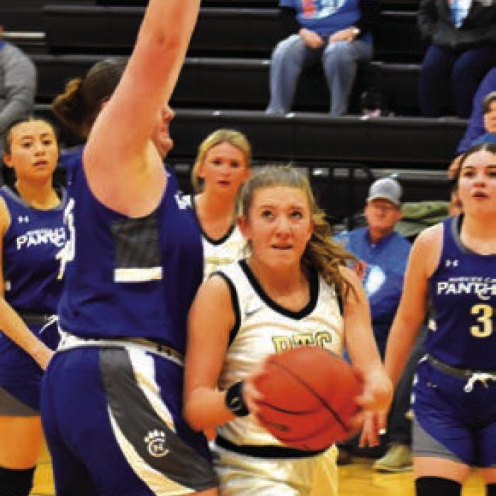 Round Top-Carmine’s Reagan Williams tries to get around a tall post player from Nueces Canyon. Photo by Paul Kipp