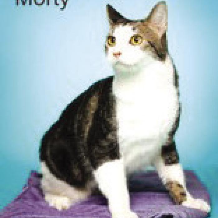 Morty