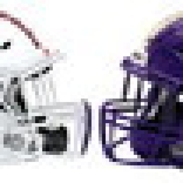 Alt Text for Image