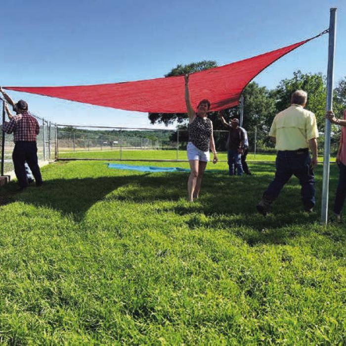 Noon Lions Put Up Shade Structures at Animal Shelter