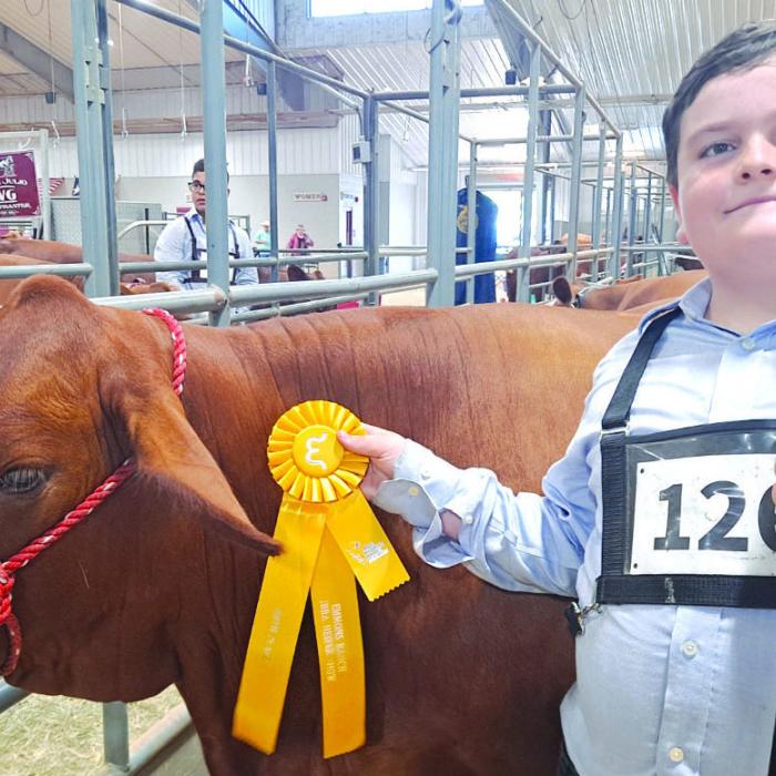 Rilan Karisch recently competed and placed in the Emmons Ranch JBBA Cattle Show.