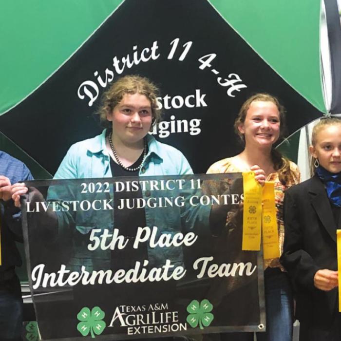 Fayette County 4-H Competes in Livestock Judging Contest