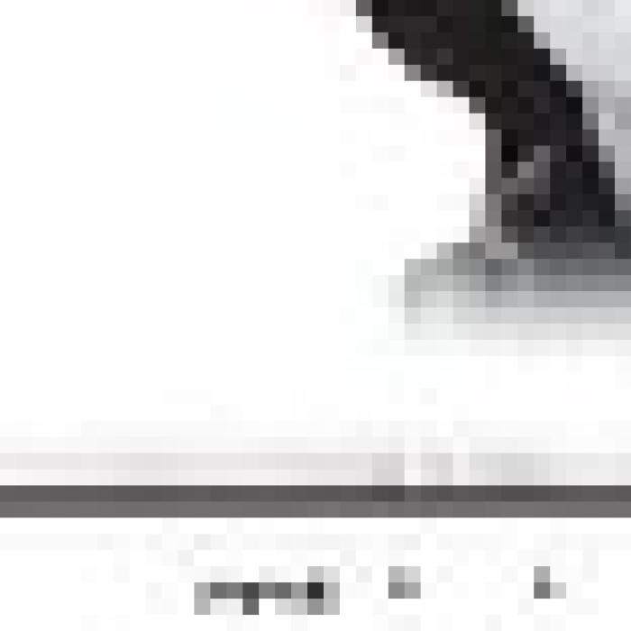 Alt Text for Image