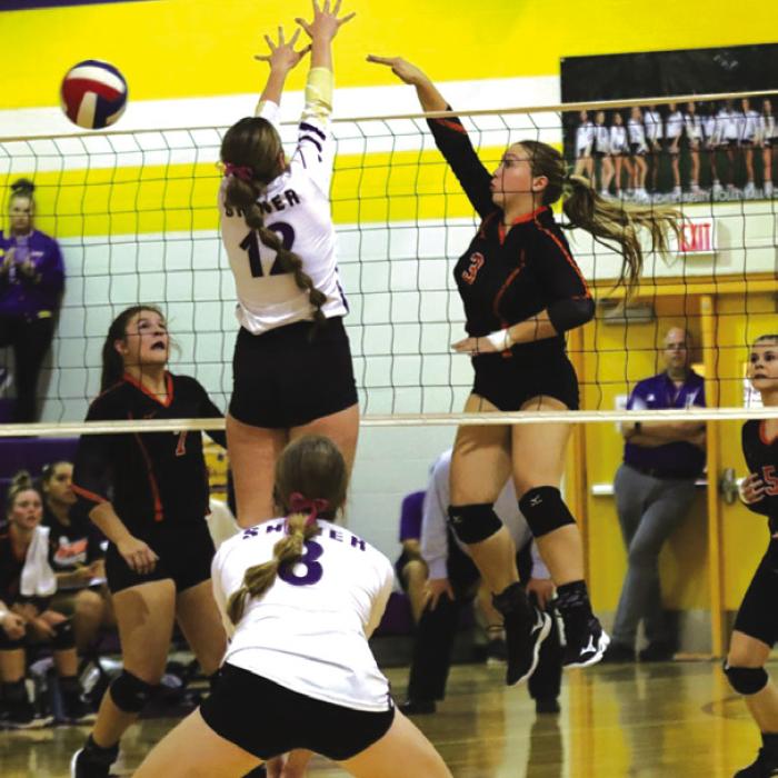 Schulenburg’s Reagan Dusek spikes a ball in Tuesday’s match at Shiner.