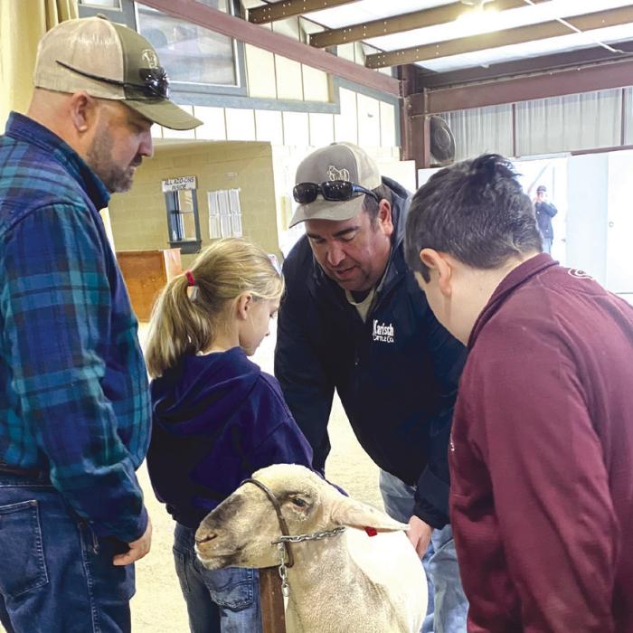 Chris Brugger, Brylee Brugger, Brandon Karisch and Rilan Karisch get a closer look at the market lambs at the Kendall County contest.