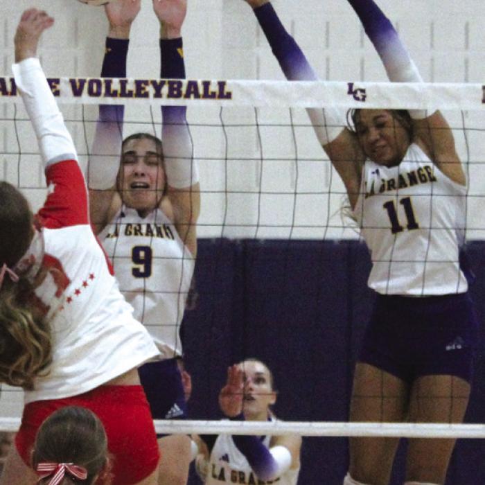 Lady Leps Push Bellville to the Brink