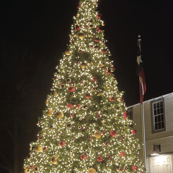 The Town of Round Top will hold a Christmas tree lighting ceremony on Friday, Nov. 28, at 6:30 p.m.