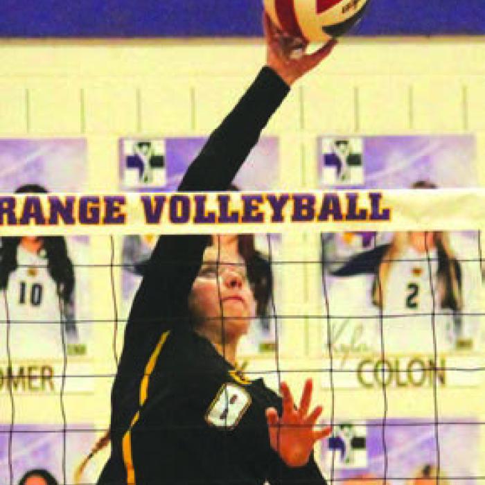 La Grange, Schulenburg, Fayetteville And RT-C All Grab Volleyball Victories