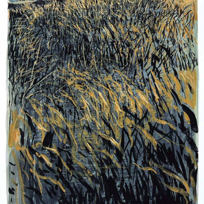 “My fields Drawing #13” By William Anzalone.
