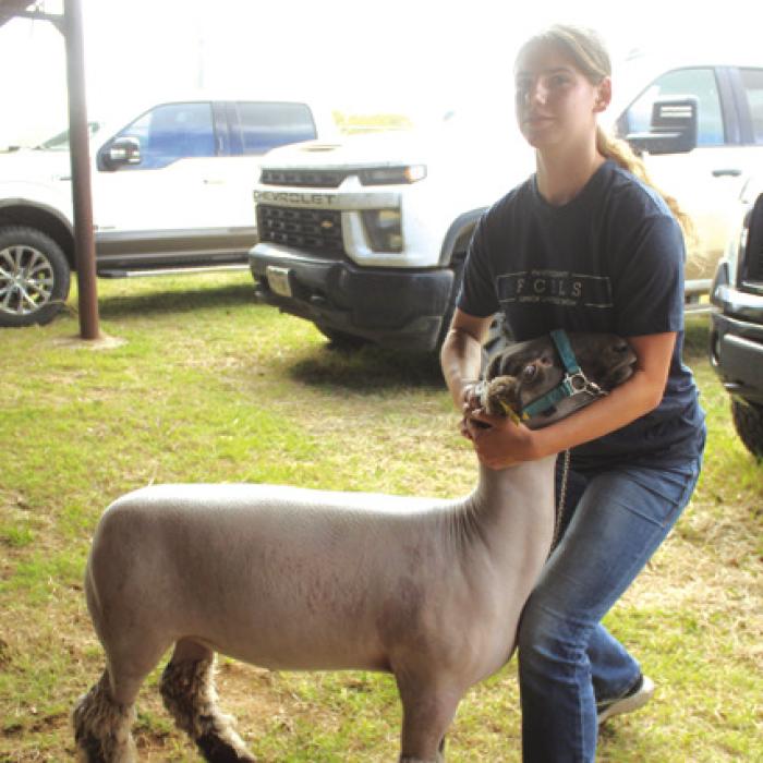 County Stock Show Snapshots