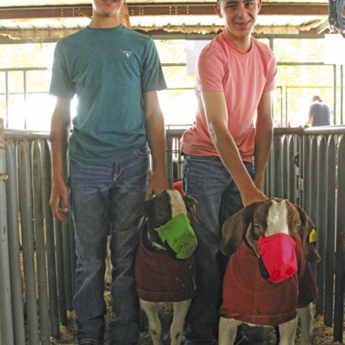 County Stock Show Snapshots