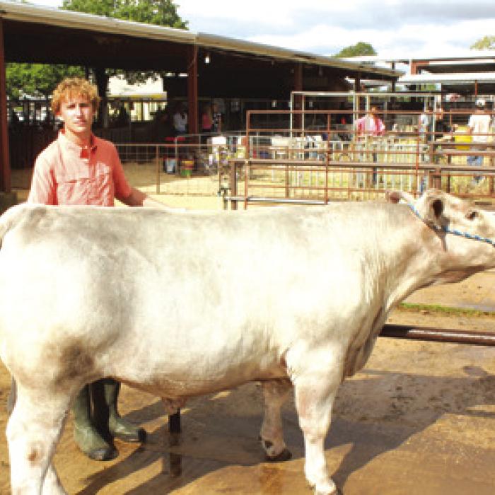 County Stock Show Snapshots