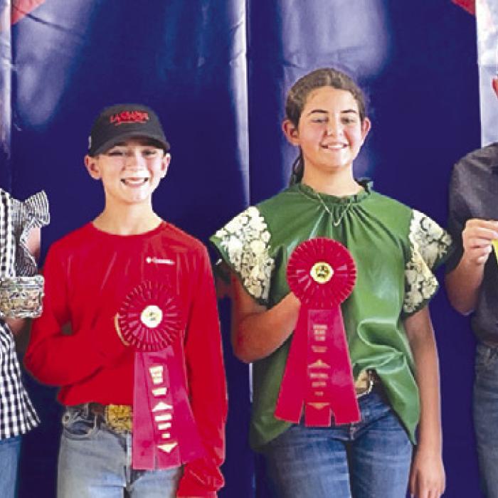 Reserve Champion Intermediate Team: Laramie Laake, Crockett Guenther, Adalyn Carrales, and Holden Holub.