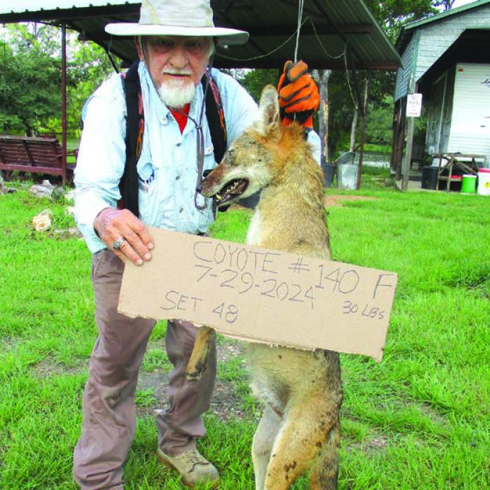 Coyote No. 140 for Marburger