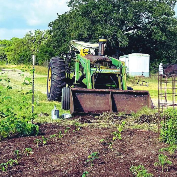 The garden always looks great after a fresh application of mulch. My wife Janessa laid cardboard between the rows before I applied the mulch, which provides even more weed suppression.