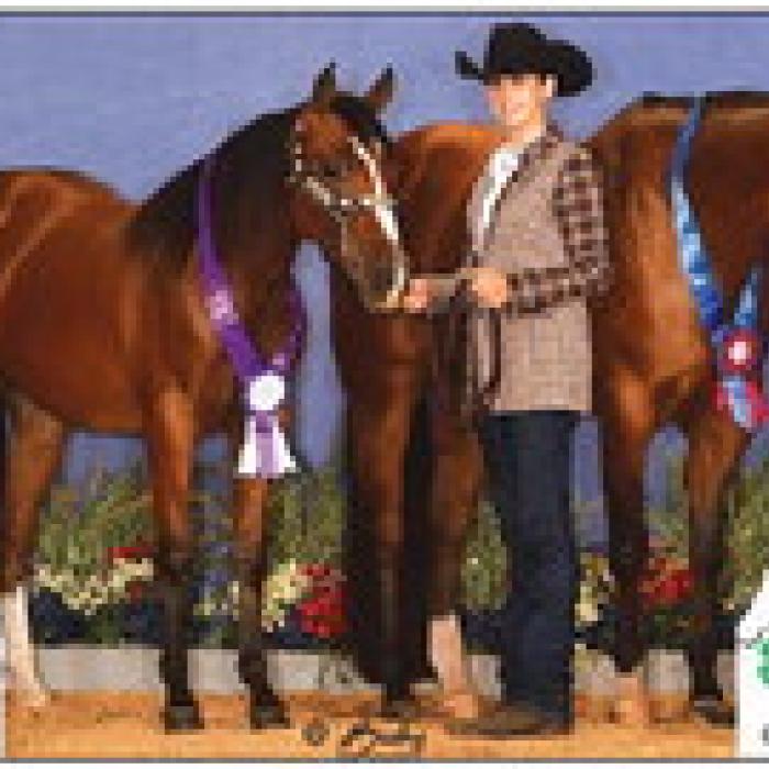 Teagan Kallus Shines at 4-H State Horse Show