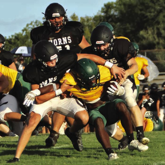 Schulenburg Swarm
