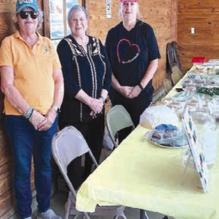 Maureen Schley, Kathy Sauer and Kim Adams at the St. Paul Lutheran Stew and Bake Sale.