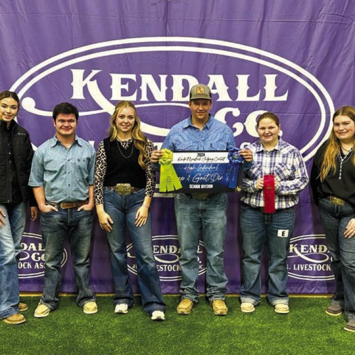 4-H Competes in Kendall County Livestock Judging