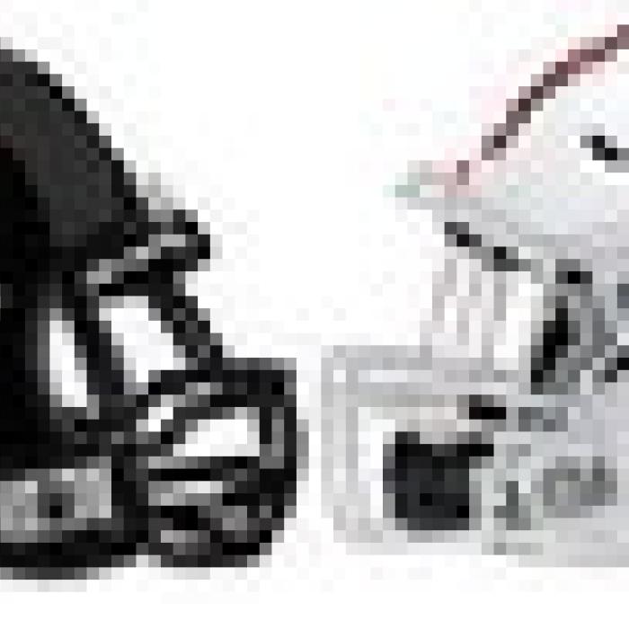Alt Text for Image