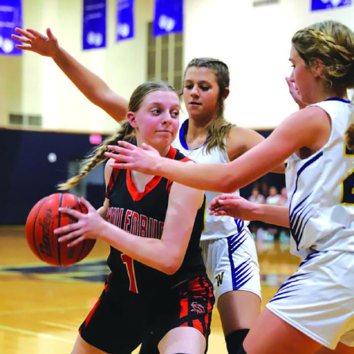 Tuesday Hoops Winners Include Leps, Lions, Cubettes, Flatonia