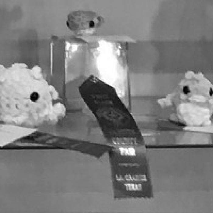 Show Off Your Needlework at the Fair