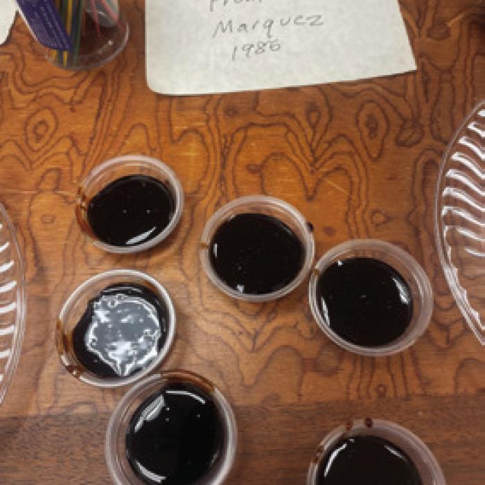 The Fayette County Beekeepers Association held a honey judging contest at their last meeting on Saturday, Sept. 7. First place went to Johnny and Deanne Cox. One member brought some honey he found in his mother’s pantry that was harvested almost 40 years ago (pictured above). The honey reportedly tasted and smelled like strong molasses.