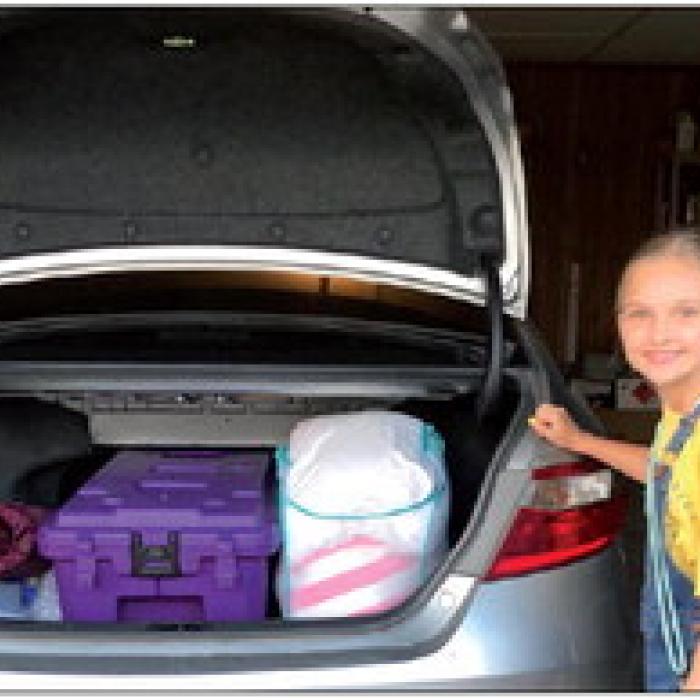Ellinger Community Wide Garage Sale July 1