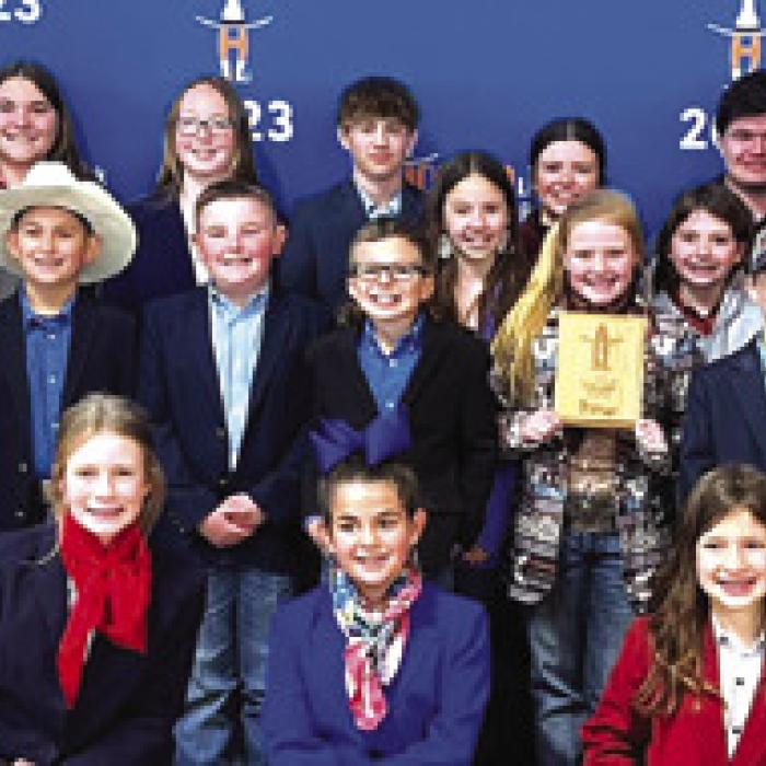 4-H Competes in Houston Livestock Judging Contest