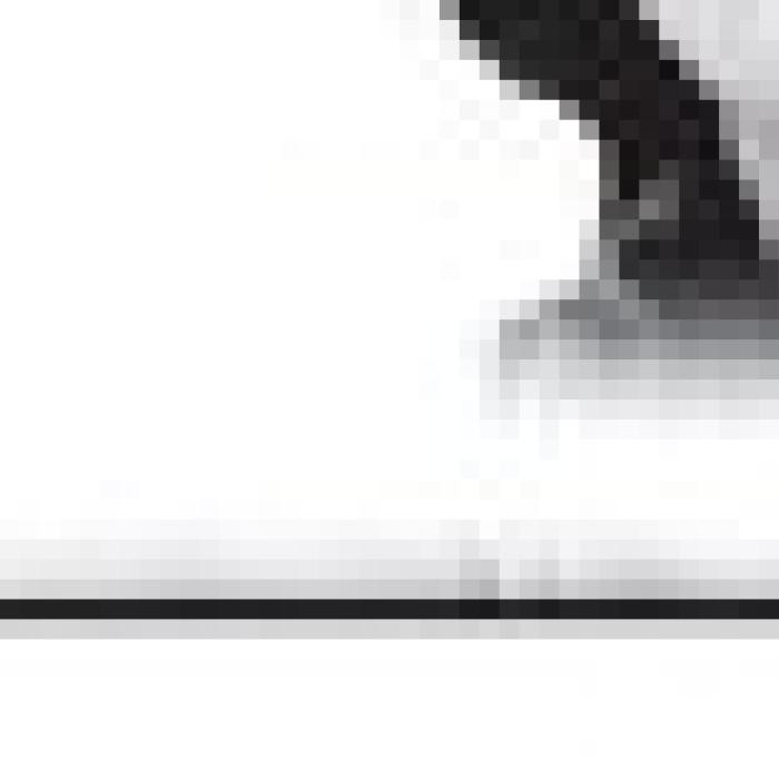 Alt Text for Image