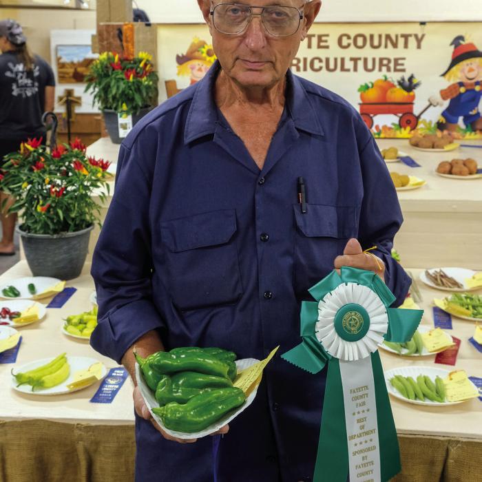Fayette County Fair Best of Department Winners