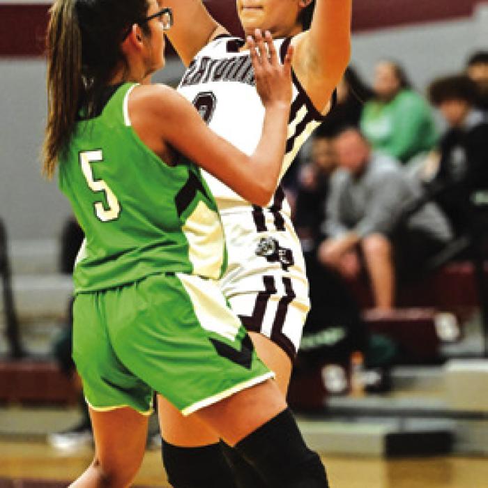 La Grange Sweeps Caldwell; Other Fayette County Hoops Teams Stay Hot