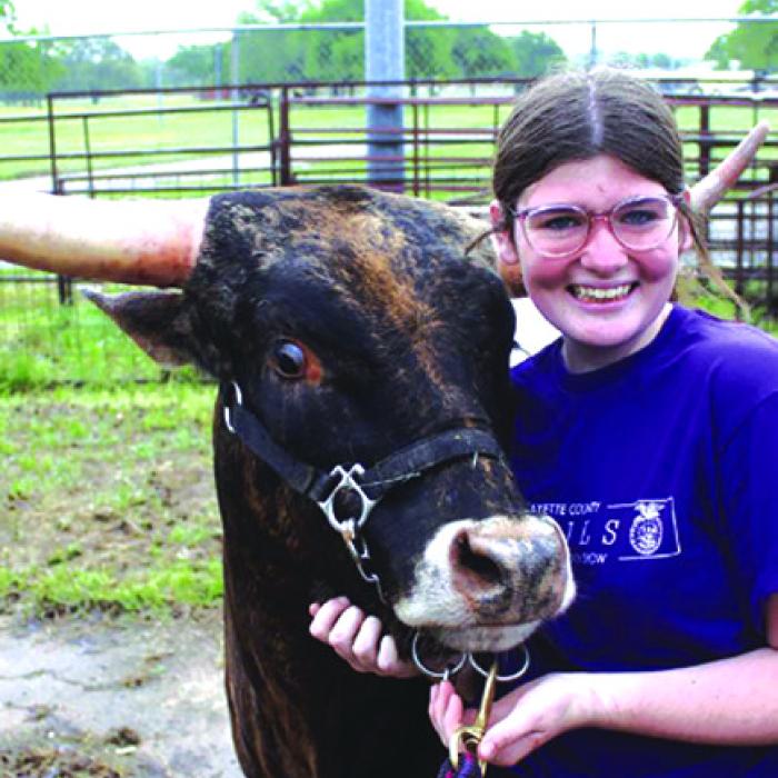 Jaden Melton of La Grange, shown here with a longhorn at the county livestock show a couple of years ago, is a Jr. Show Chair for this weekend’s event. Her father Joey is one of the show Chairmen. Record file photo