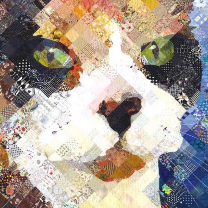 Timna Tarr to Give Gallery Talk July 16 at Texas Quilt Museum