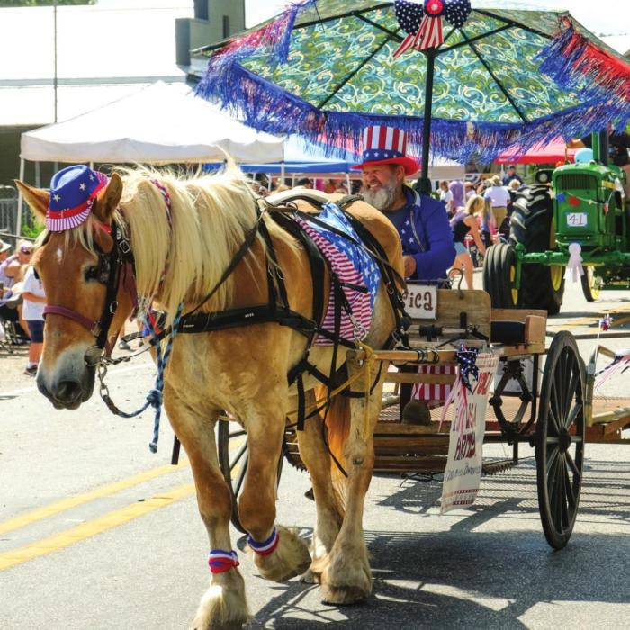 More Images from the Round Top July 4 Parade