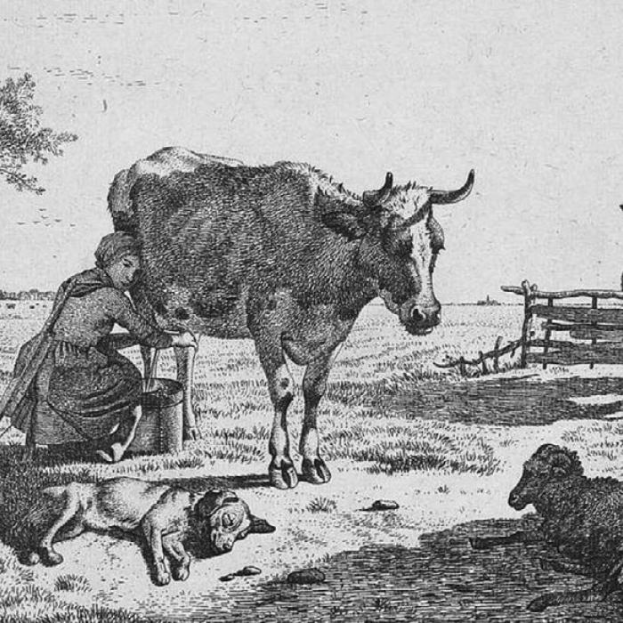 Kesiah Crier (Cryer) of Fayette County