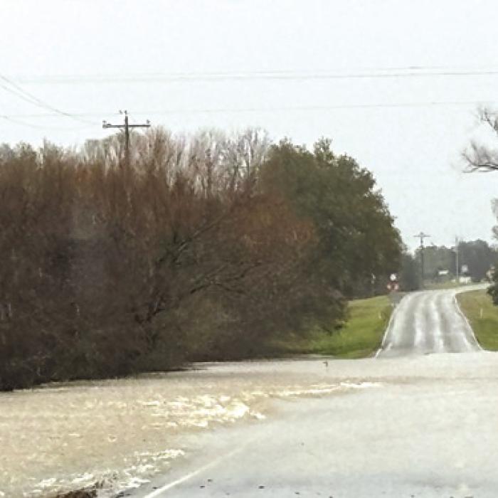 Roads Flood in Muldoon Area