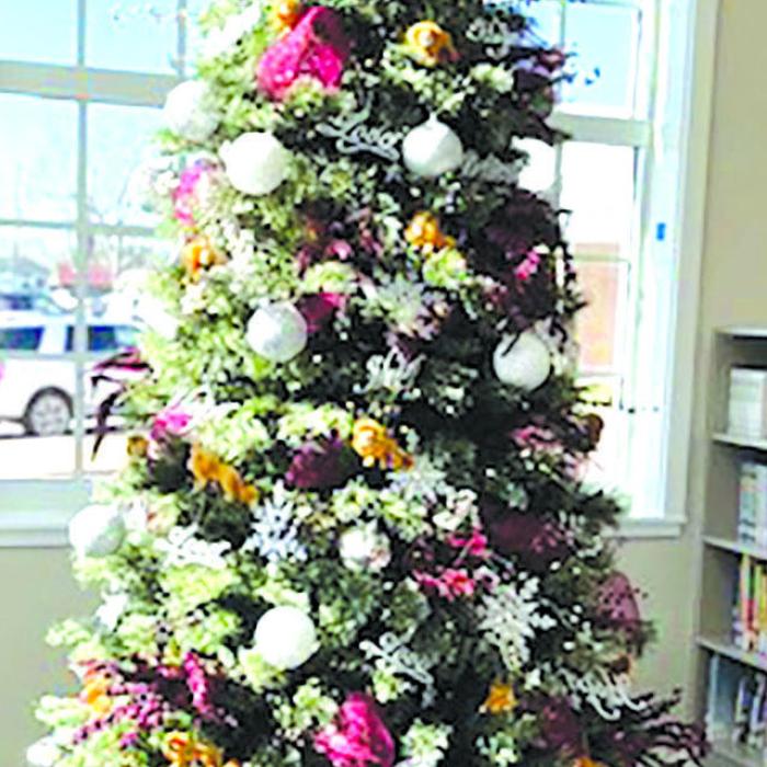 Fayetteville City Offices Closed, Freeze Warning