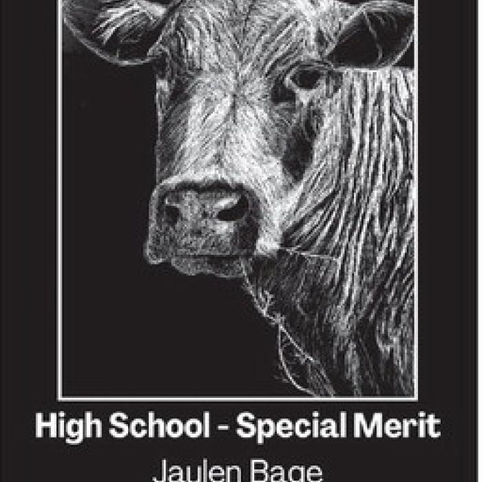Round Top-Carmine ISD Western Art Winners