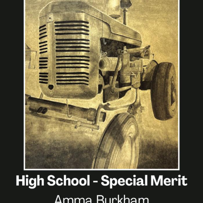 Round Top-Carmine ISD Western Art Winners
