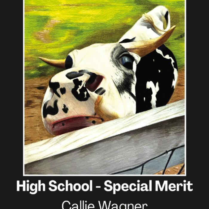 Round Top-Carmine ISD Western Art Winners