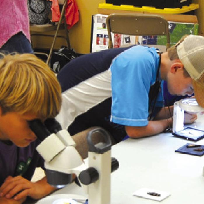 Campers view butterflies through microscopes.