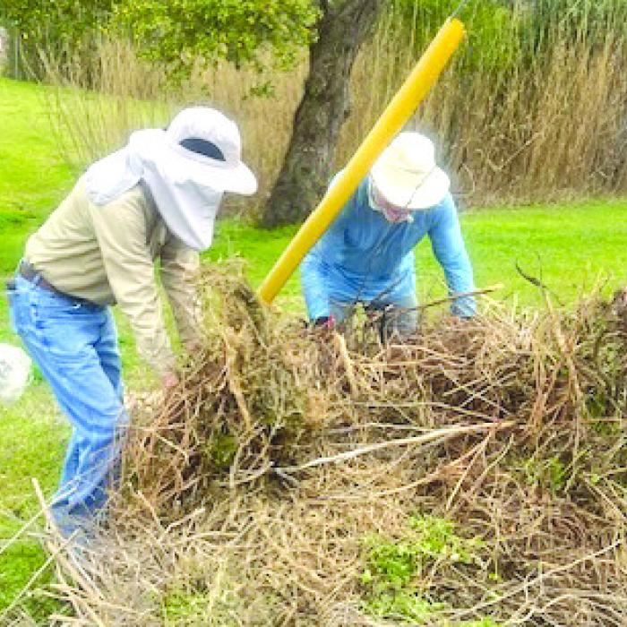 Carolyn and Bob McCrory, Tom and Karen Bookout clearing brush out at the park.