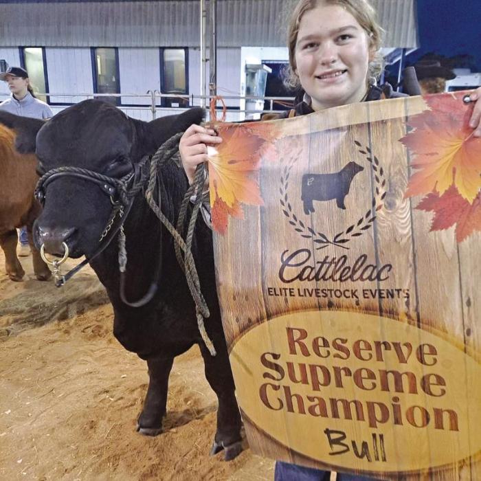 Rheagan Karisch participated in a cattle show in Needville recently.