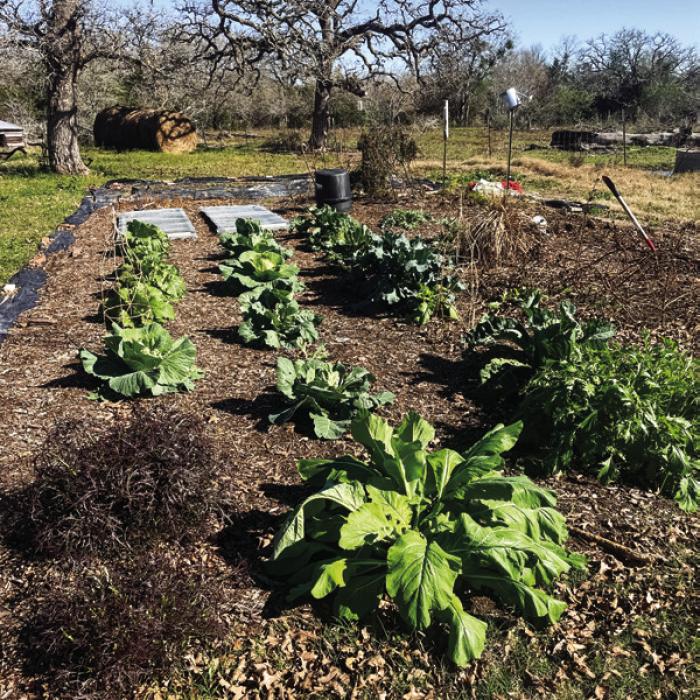 The Fall Garden: Less Weeds, Less Work